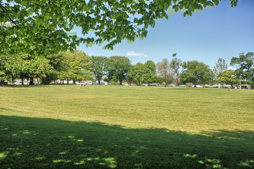 Mature trees around Cambridge park